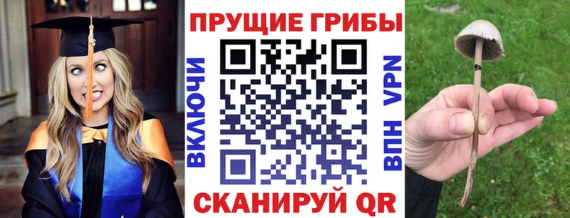 мега ссылки  Весьегонск  Псилоцибиновые грибы MAGIC MUSHROOMS  купить наркотик 